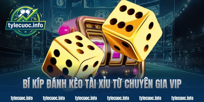Bí Kíp Đánh Kèo Tài Xỉu Từ Chuyên Gia VIP