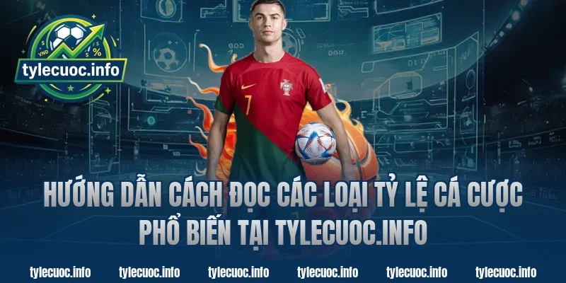 Hướng dẫn cách đọc các loại tỷ lệ cá cược phổ biến tại tỷ lệ cá cược